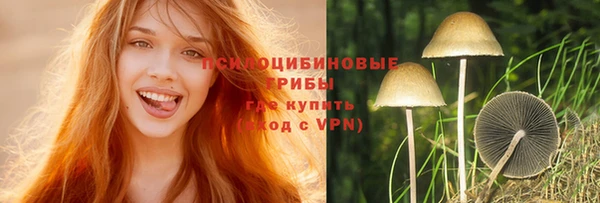 синтетический гашиш Тавда
