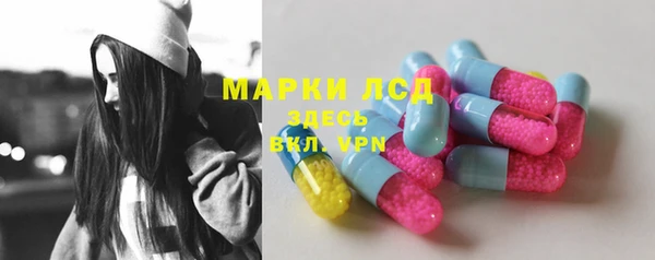 стафф Сясьстрой