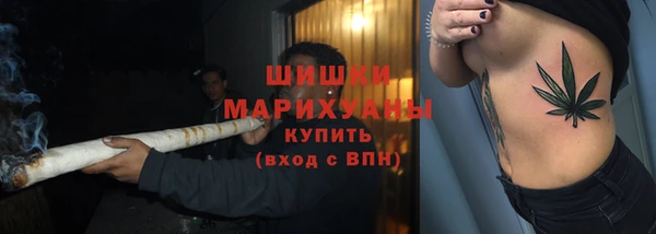 стафф Сясьстрой