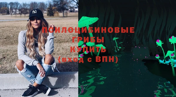 стафф Сясьстрой